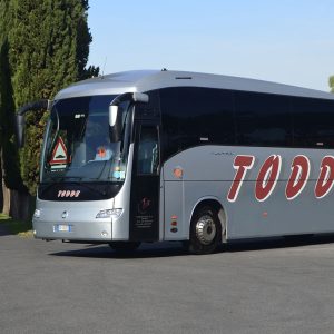 Noleggio pullman per escursioni e gite scolastiche a Roma